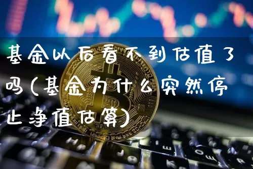 基金以后看不到估值了吗(基金为什么突然停止净值估算)_https://www.cangshenghg.com_科创板_第1张
