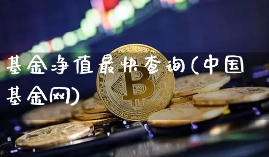 基金净值最快查询(中国基金网)_https://www.cangshenghg.com_财经新闻_第1张