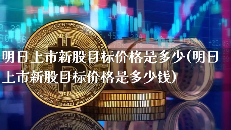 明日上市新股目标价格是多少(明日上市新股目标价格是多少钱)_https://www.cangshenghg.com_A股_第1张