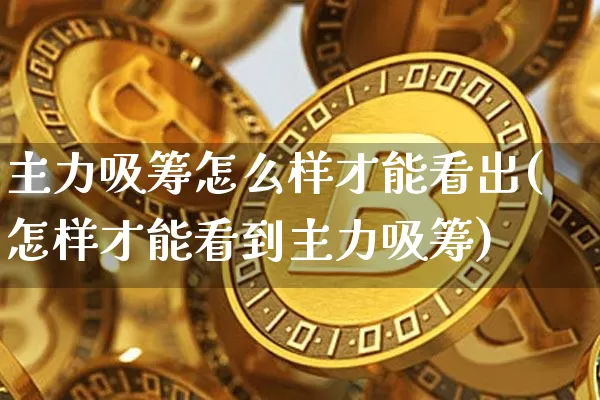 主力吸筹怎么样才能看出(怎样才能看到主力吸筹)_https://www.cangshenghg.com_北交所_第1张