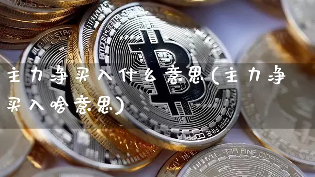 主力净买入什么意思(主力净买入啥意思)_https://www.cangshenghg.com_财经新闻_第1张