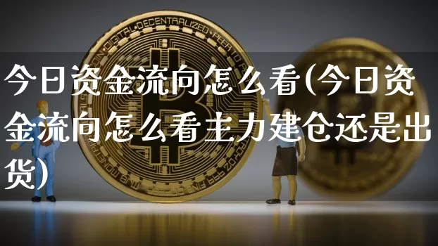 今日资金流向怎么看(今日资金流向怎么看主力建仓还是出货)_https://www.cangshenghg.com_财经新闻_第1张