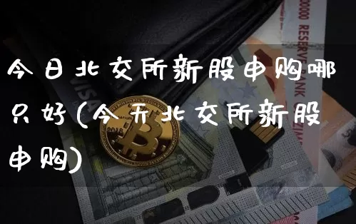 今日北交所新股申购哪只好(今天北交所新股申购)_https://www.cangshenghg.com_财经新闻_第1张