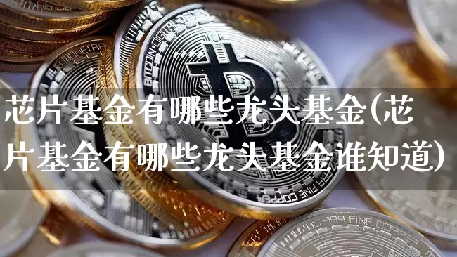 芯片基金有哪些龙头基金(芯片基金有哪些龙头基金谁知道)_https://www.cangshenghg.com_创业板_第1张