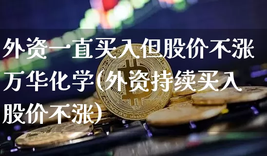 外资一直买入但股价不涨万华化学(外资持续买入股价不涨)_https://www.cangshenghg.com_创业板_第1张