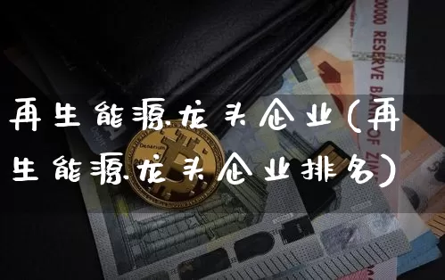 再生能源龙头企业(再生能源龙头企业排名)_https://www.cangshenghg.com_创业板_第1张