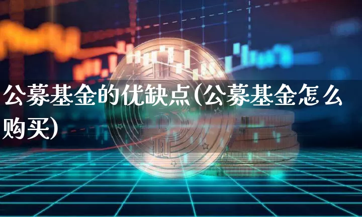 公募基金的优缺点(公募基金怎么购买)_https://www.cangshenghg.com_A股_第1张