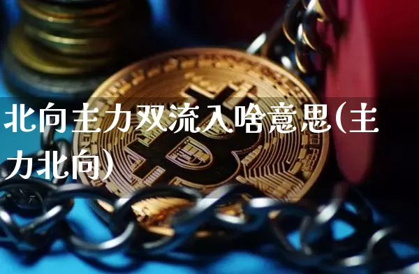 北向主力双流入啥意思(主力北向)_https://www.cangshenghg.com_财经新闻_第1张