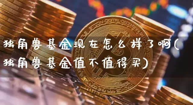 独角兽基金现在怎么样了啊(独角兽基金值不值得买)_https://www.cangshenghg.com_科创板_第1张
