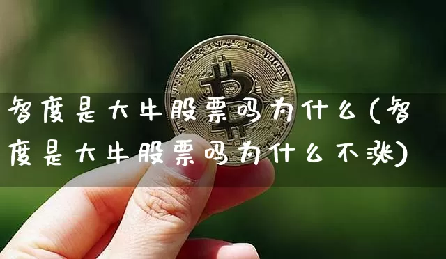 智度是大牛股票吗为什么(智度是大牛股票吗为什么不涨)_https://www.cangshenghg.com_财经新闻_第1张