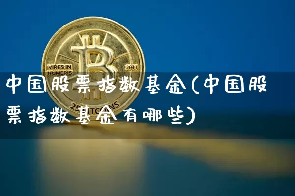 中国股票指数基金(中国股票指数基金有哪些)_https://www.cangshenghg.com_北交所_第1张