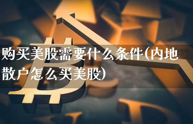 购买美股需要什么条件(内地散户怎么买美股)_https://www.cangshenghg.com_北交所_第1张
