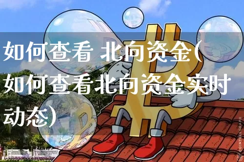 如何查看 北向资金(如何查看北向资金实时动态)_https://www.cangshenghg.com_北交所_第1张