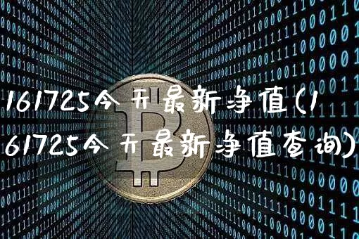 161725今天最新净值(161725今天最新净值查询)_https://www.cangshenghg.com_北交所_第1张