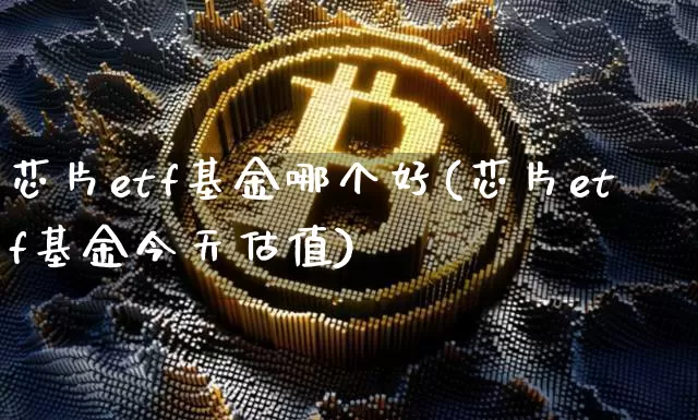 芯片etf基金哪个好(芯片etf基金今天估值)_https://www.cangshenghg.com_科创板_第1张