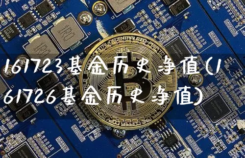 161723基金历史净值(161726基金历史净值)_https://www.cangshenghg.com_创业板_第1张