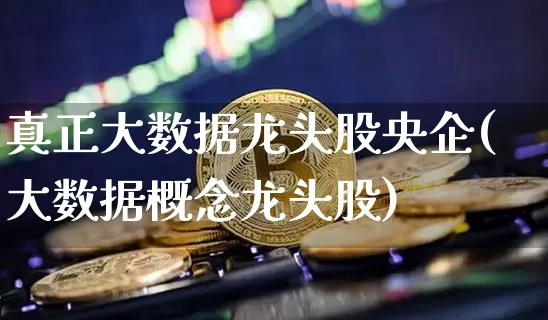 真正大数据龙头股央企(大数据概念龙头股)_https://www.cangshenghg.com_财经新闻_第1张