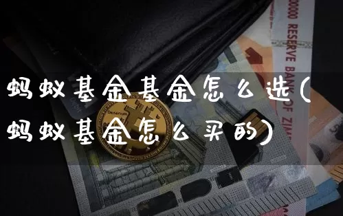蚂蚁基金基金怎么选(蚂蚁基金怎么买的)_https://www.cangshenghg.com_北交所_第1张