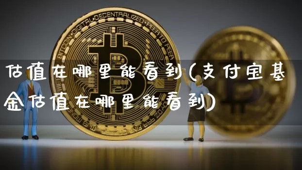 估值在哪里能看到(支付宝基金估值在哪里能看到)_https://www.cangshenghg.com_创业板_第1张