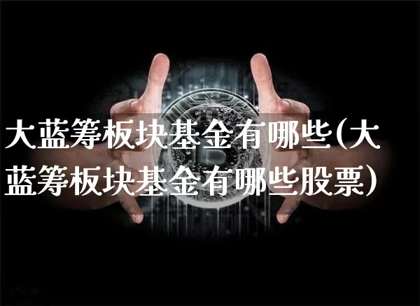 大蓝筹板块基金有哪些(大蓝筹板块基金有哪些股票)_https://www.cangshenghg.com_北交所_第1张