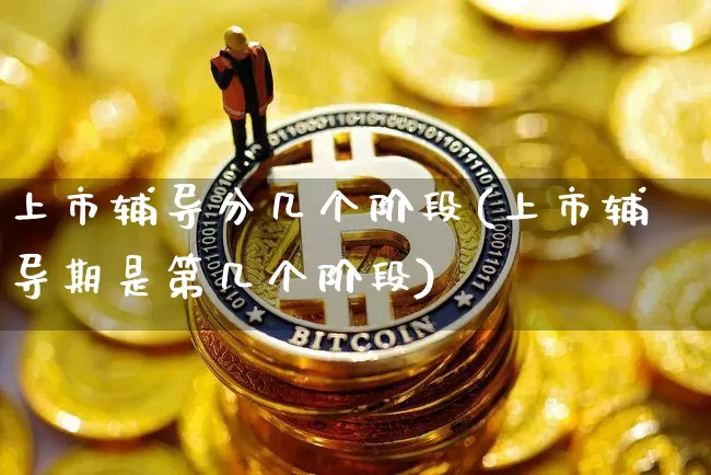 上市辅导分几个阶段(上市辅导期是第几个阶段)_https://www.cangshenghg.com_北交所_第1张
