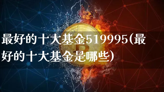 最好的十大基金519995(最好的十大基金是哪些)_https://www.cangshenghg.com_财经新闻_第1张