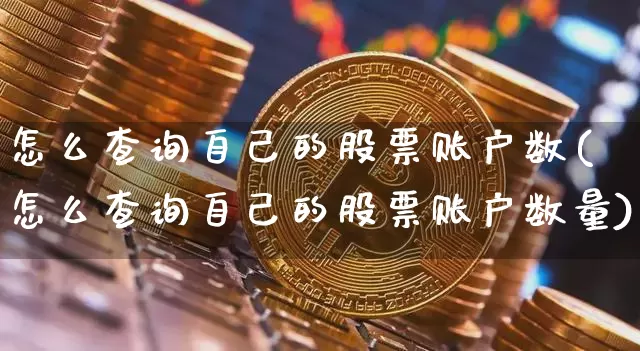 怎么查询自己的股票账户数(怎么查询自己的股票账户数量)_https://www.cangshenghg.com_财经新闻_第1张