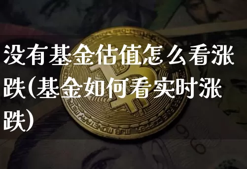 没有基金估值怎么看涨跌(基金如何看实时涨跌)_https://www.cangshenghg.com_创业板_第1张