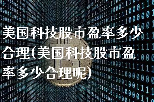 美国科技股市盈率多少合理(美国科技股市盈率多少合理呢)_https://www.cangshenghg.com_科创板_第1张