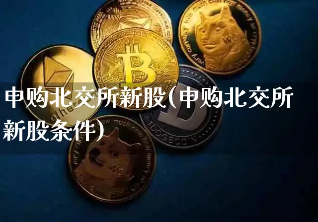 申购北交所新股(申购北交所新股条件)_https://www.cangshenghg.com_科创板_第1张
