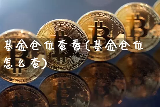 基金仓位查看(基金仓位怎么查)_https://www.cangshenghg.com_创业板_第1张