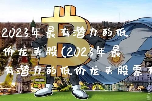 2023年最有潜力的低价龙头股(2023年最有潜力的低价龙头股票有哪些)_https://www.cangshenghg.com_A股_第1张