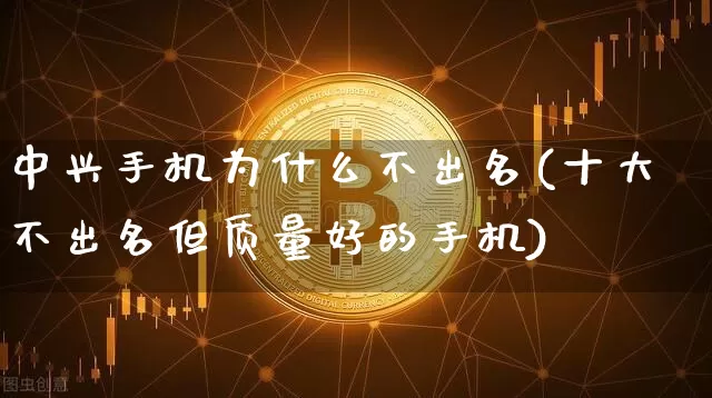 中兴手机为什么不出名(十大不出名但质量好的手机)_https://www.cangshenghg.com_科创板_第1张