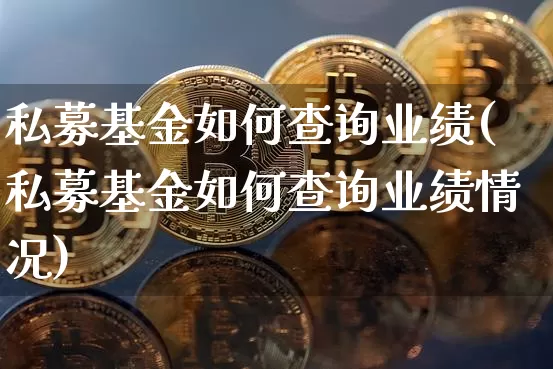 私募基金如何查询业绩(私募基金如何查询业绩情况)_https://www.cangshenghg.com_北交所_第1张