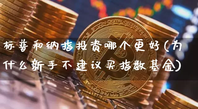 标普和纳指投资哪个更好(为什么新手不建议买指数基金)_https://www.cangshenghg.com_北交所_第1张