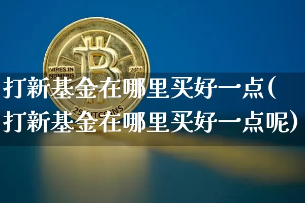 打新基金在哪里买好一点(打新基金在哪里买好一点呢)_https://www.cangshenghg.com_北交所_第1张
