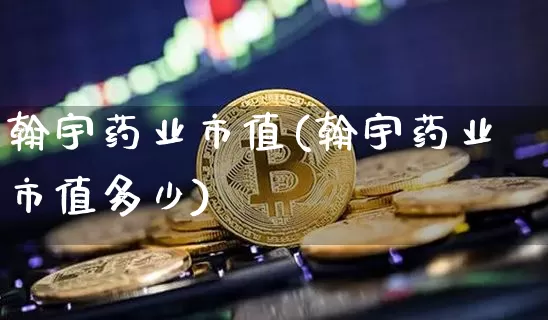 翰宇药业市值(翰宇药业市值多少)_https://www.cangshenghg.com_科创板_第1张
