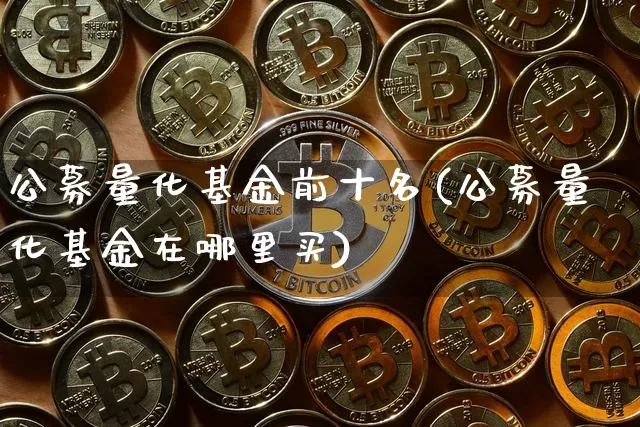 公募量化基金前十名(公募量化基金在哪里买)_https://www.cangshenghg.com_北交所_第1张