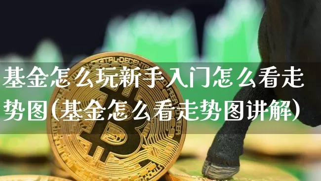 基金怎么玩新手入门怎么看走势图(基金怎么看走势图讲解)_https://www.cangshenghg.com_财经新闻_第1张