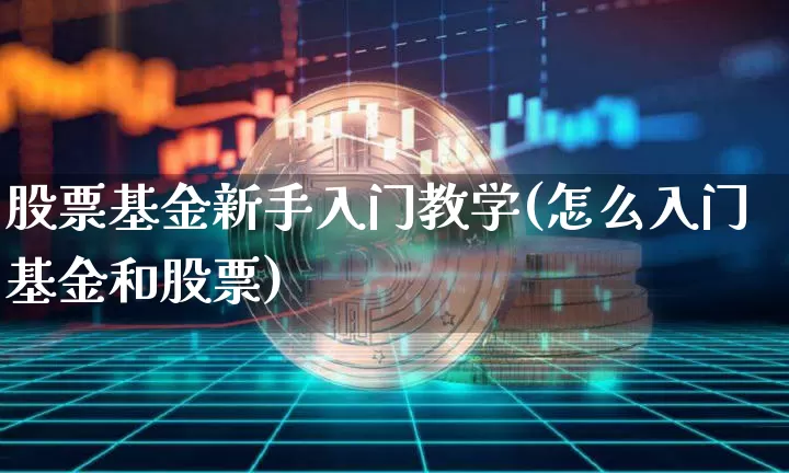 股票基金新手入门教学(怎么入门基金和股票)_https://www.cangshenghg.com_北交所_第1张