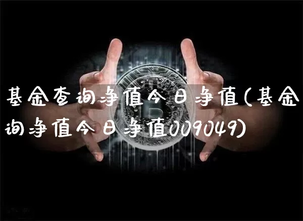 基金查询净值今日净值(基金查询净值今日净值009049)_https://www.cangshenghg.com_A股_第1张
