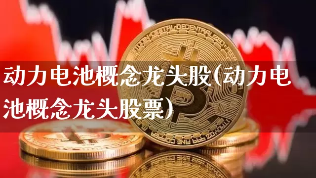 动力电池概念龙头股(动力电池概念龙头股票)_https://www.cangshenghg.com_财经新闻_第1张