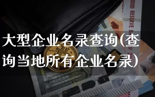 大型企业名录查询(查询当地所有企业名录)_https://www.cangshenghg.com_创业板_第1张