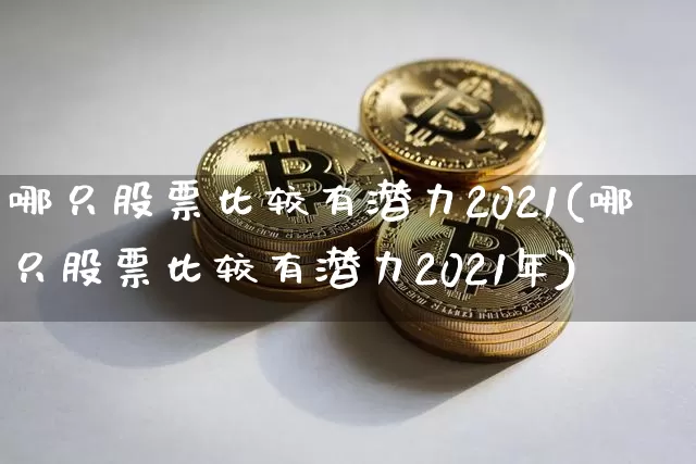 哪只股票比较有潜力2021(哪只股票比较有潜力2021年)_https://www.cangshenghg.com_科创板_第1张