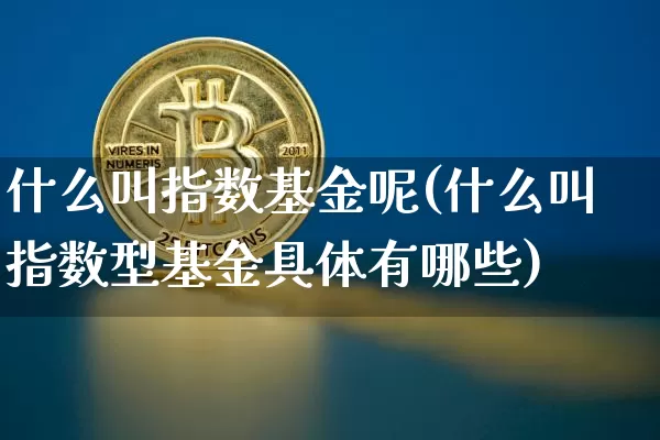 什么叫指数基金呢(什么叫指数型基金具体有哪些)_https://www.cangshenghg.com_北交所_第1张
