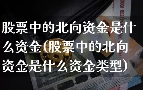 股票中的北向资金是什么资金(股票中的北向资金是什么资金类型)_https://www.cangshenghg.com_财经新闻_第1张