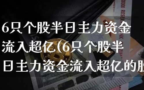 6只个股半日主力资金流入超亿(6只个股半日主力资金流入超亿的股票)_https://www.cangshenghg.com_创业板_第1张