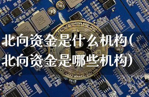 北向资金是什么机构(北向资金是哪些机构)_https://www.cangshenghg.com_北交所_第1张