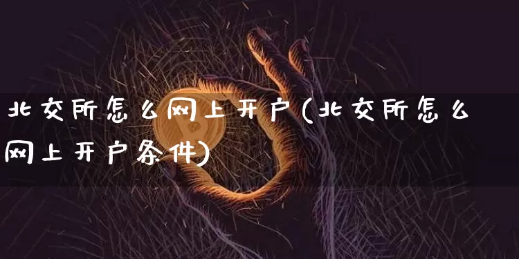 北交所怎么网上开户(北交所怎么网上开户条件)_https://www.cangshenghg.com_A股_第1张