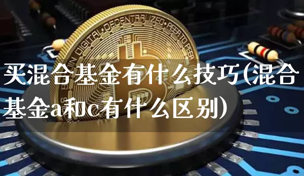 买混合基金有什么技巧(混合基金a和c有什么区别)_https://www.cangshenghg.com_北交所_第1张